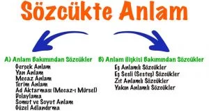 Sözcükte Anlam, Sözcükte Anlam nedir, Sözcükte Anlam konu anlatımı, Sözcükte Anlam örnekleri, Sözcükte Anlam YKS, Sözcükte Anlam soruları