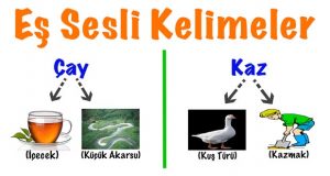 Eş sesli kelimeler, eş sesli, eş sesli sözcükler, eş sesli nedir, eş sesli kelimeler nelerdir, eş sesli ne demek, eş sesli kelime örnekleri, eş sesli kelime hakkında bilgi